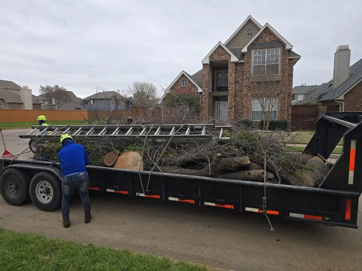 Expert Tree Fertilization with proper safety equipment in Mitchell